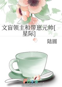 文盲领主和带崽元帅[星际]