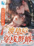 渡劫后穿成赘婿