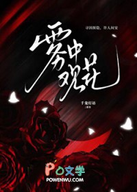 雾中观花